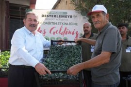 Milas Belediyesi’nden Çiftçilere 250 Bin TL’lik Fide Desteği