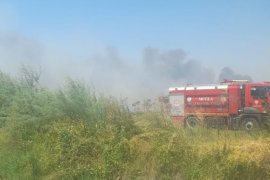 Milas'ta Aynı Gün 5 Ayrı Noktada Alevlerle Mücadele Edildi