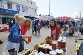 Bodrum’un acı otu Koronayı yener!