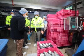 Vali Akbıyık, Milas’ta Su Ürünleri Tesislerini ve Topraksız Tarım Bölgesini İnceledi