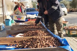 GÜLLÜK PAZARINDAKİ ÇİFTÇİLER ‘MAĞDURUZ’ DİYOR, HAKLARININ KORUNMASINI İSTİYOR..