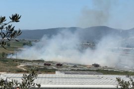Balık Havuzlarının Yakınında Çıkan Yangın Söndürüldü
