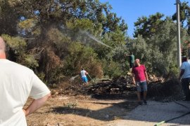 Kıyıkışlacık Zeytinlikuyu Mevkiinde Çıkan Yangın Kısa Sürede Söndürüldü