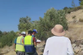 YK Enerji Zeytinliklerde Sayıma Başladı