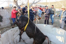 İtfaiye Muğla’da olaylara ortalama 6,7 dakikada müdahale ediyor