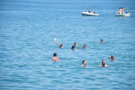 Yağlı Direk Yarışı Nefes Kesti, Su Şovları Serinletti