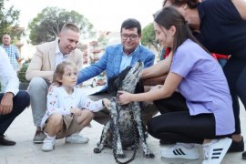Milas'ta 4 Ekim Sokak Hayvanları Koruma Günü kutlandı...