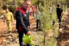 Güvercinlik’te 4 Bin Fidan Toprakla Buluştu…