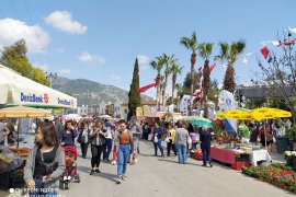 Bodrum’un acı otu Koronayı yener!