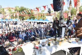 Zeytin Hasat Şenliği’nde, “Ortak Akıl” Yara Aldı..