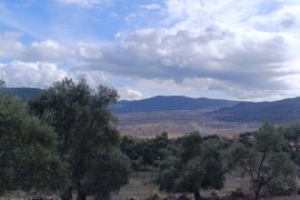 Nejla Işık’tan Çağrı: “Milas Ayağa Kalk, Akbelen’e Sahip Çık”