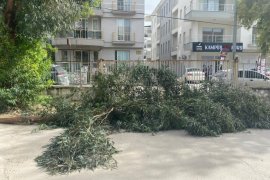 Milas Belediyesi Ekiplerinden Anında Müdahale