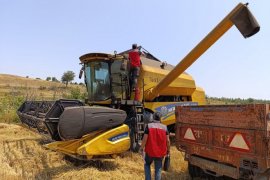 Dane Kaybı ve Anız Yangınlarına Karşı Denetim