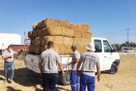 Milas Belediyesi yangından etkilenen yurttaşların yanında