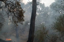 Bir günde 11 ayrı noktada yıldırım yangınları çıktı