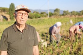 Kırsalda ekonomik kalkınmanın yolu tütünden geçiyor