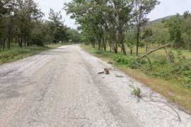 Milas Belediyesi Ekiplerinden Anında Müdahale