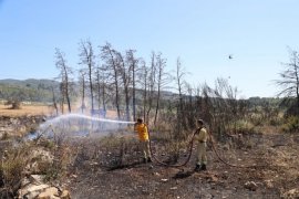 Milas Çamköy’de Ziraat Alanda Başlayan Yangın Büyümeden Söndürüldü
