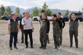 Milas ve Diğer İlçelerde Fidan Dikilecek