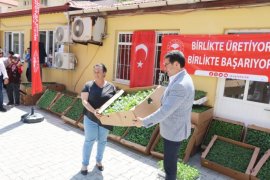 Ata tohumlarından üretilen fideler çiftçiyle buluştu