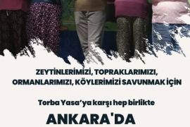 İkizköylülerden Ankara’ya Çağrı: “Zeytinimize, Toprağımıza Sahip Çıkmak İçin TBMM Önünde Buluşalım!”