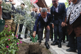 Nazım’ın şiiriyle zeytin ağacı: Özel’den Muğla’da anlamlı mesaj