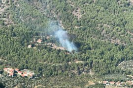 Araç Yangını Ormana Sıçradı: Ekipler Zamanında Müdahale Etti