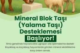 Büyükşehir’den Hayvan Sağlığını Düşünen Destek