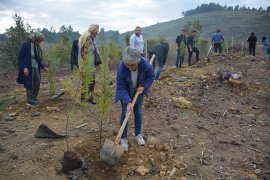 BÜYÜKŞEHİRDEN AĞAÇLANDIRMA SEFERBERLİĞİ 