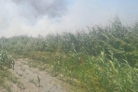 Milas'ta Aynı Gün 5 Ayrı Noktada Alevlerle Mücadele Edildi