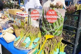 Bodrum’un acı otu Koronayı yener!