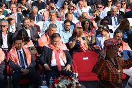 Zeytin Hasat Şenliği’ne gölge düştü