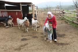  “Herkes toprağına sahip çıkmalı”
