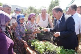 Milas Belediyesi’nden Üreticilere Fide Desteği