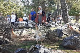 Cennet ormanlarında gezi keyfi