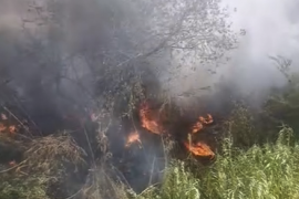 Milas’ta Sazlık Yangını Kısa Sürede Söndürüldü