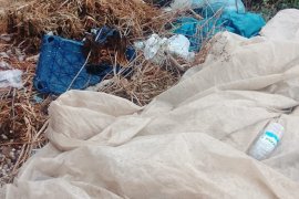 Bu Dere Başka Dere...