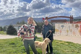 Büyükşehir Geçici Hayvan Bakımevi’nden 3 Bin 779 Can Dosta Yeni Yuva