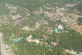 Sarıgerme'de Orman Yangını Korkuttu: Alevler Tesislere Ulaşmadan Durduruldu