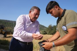 Milas Belediyesi Karakılçık Buğday Hasadı Gerçekleştirdi
