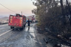 Yine Güllük, Yine Yangın, Yine Elektrik Kaynaklı