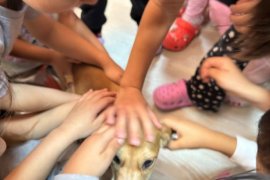 Veteriner Hekimlerden Miniklere Hayvan Sevgisi Dersi