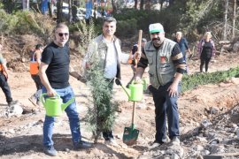 Güvercinlik’te 4 Bin Fidan Toprakla Buluştu…