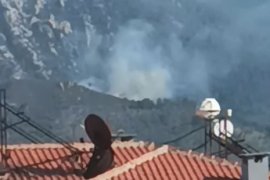 Yangında 3 Dönümlük Alan Zarar Gördü
