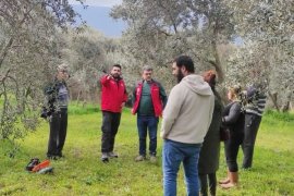 Zeytin Üreticilerine Yönelik Eğitimler Devam Ediyor