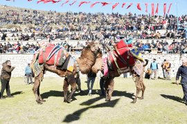 Develer Arena'da güreşti