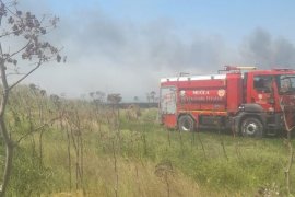 Milas'ta Aynı Gün 5 Ayrı Noktada Alevlerle Mücadele Edildi