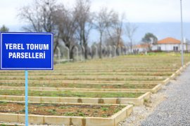 Yerel Tohumlar Muğla’dan üretim Türkiye’den