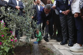 Nazım’ın şiiriyle zeytin ağacı: Özel’den Muğla’da anlamlı mesaj