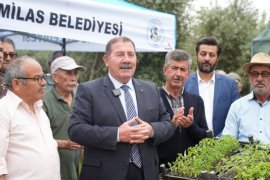Milas Belediyesi’nden 300 Üreticiye Fide